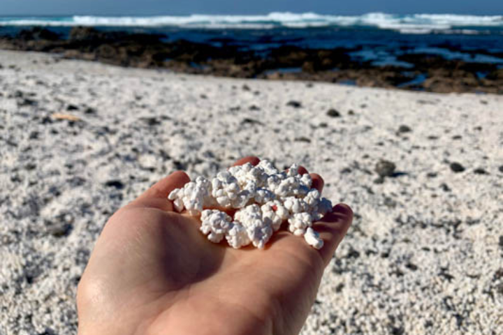 Blissful beach trips