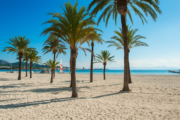 Playa d'Alcudia beach in Majorca, Balearic Islands 