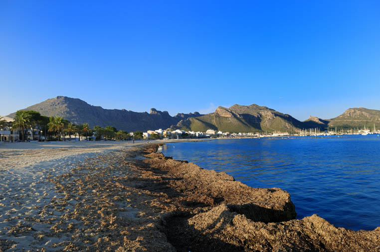 Port de Pollença beach in Majorca, Balearic Islands 