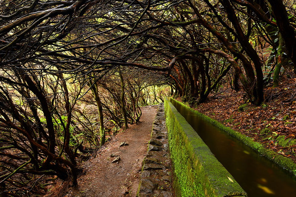 Levada Walking Trails in Madeira, Portugal