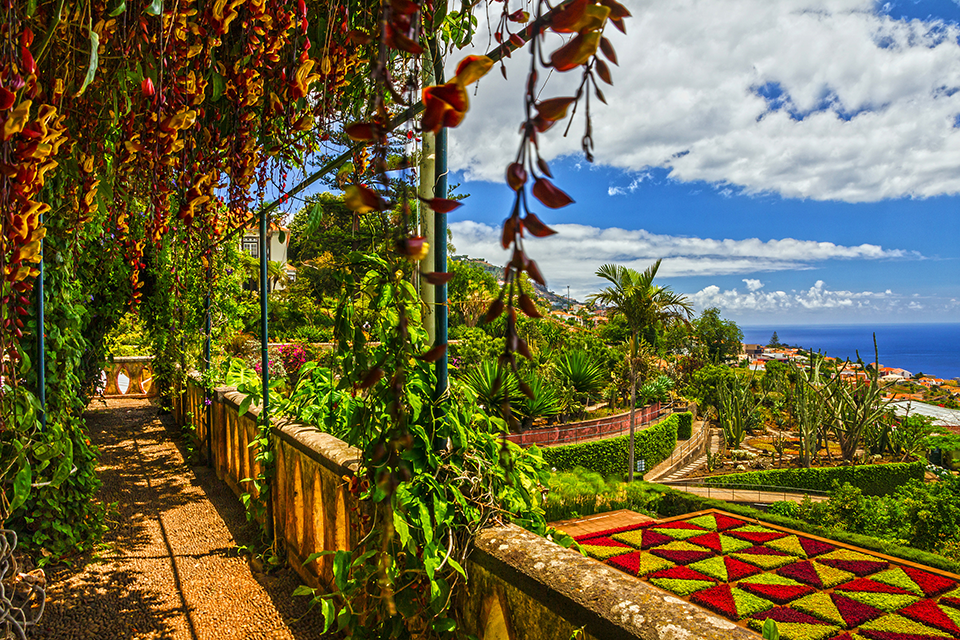 Mediterranean Gardens in Madeira, Portugal