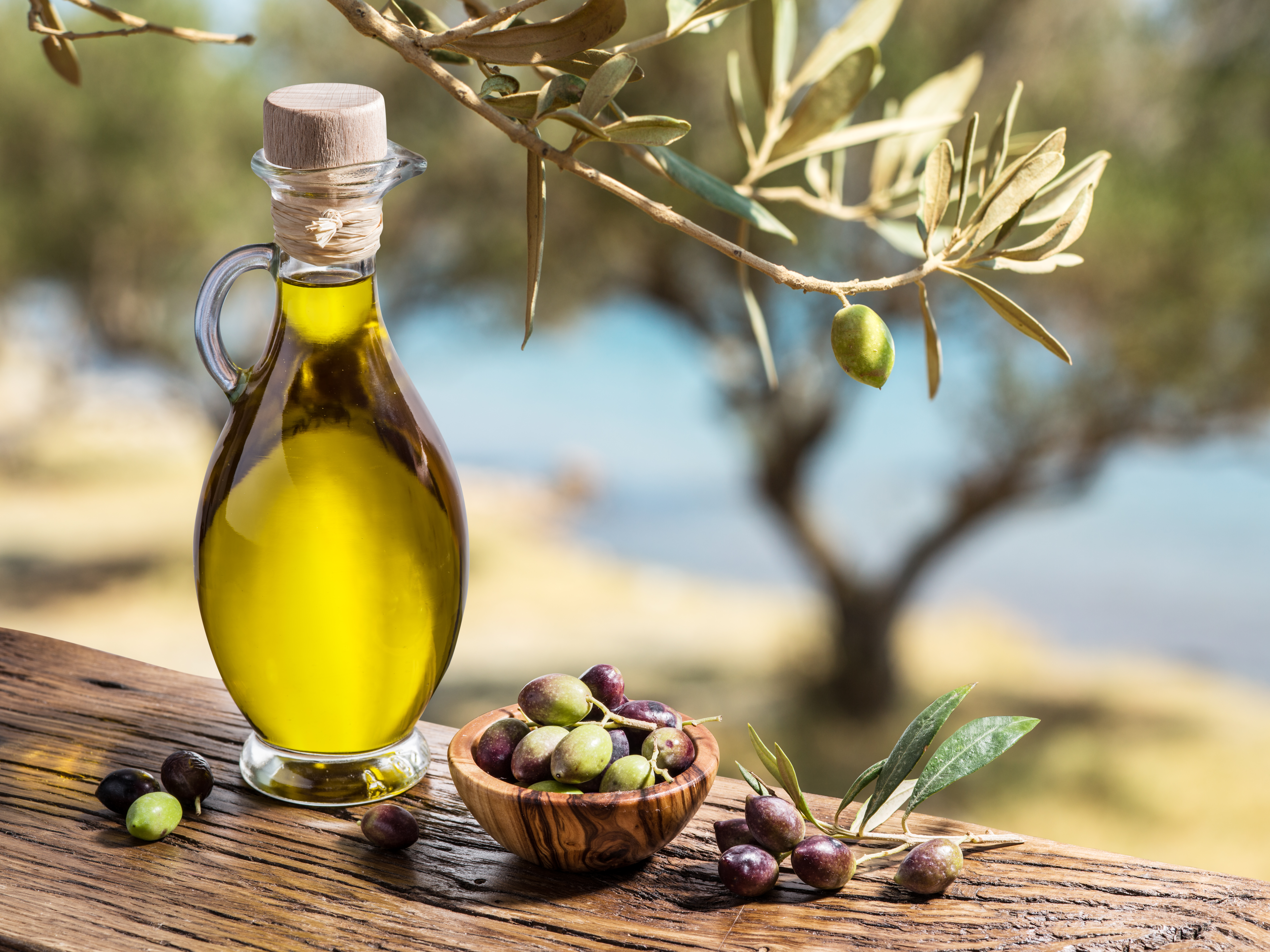 Delicious freshly made olive oil can be found at Paxos' olive oil museum