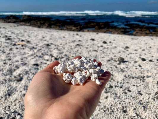 Popcorn Beach, Fuerteventura, Canary Islands