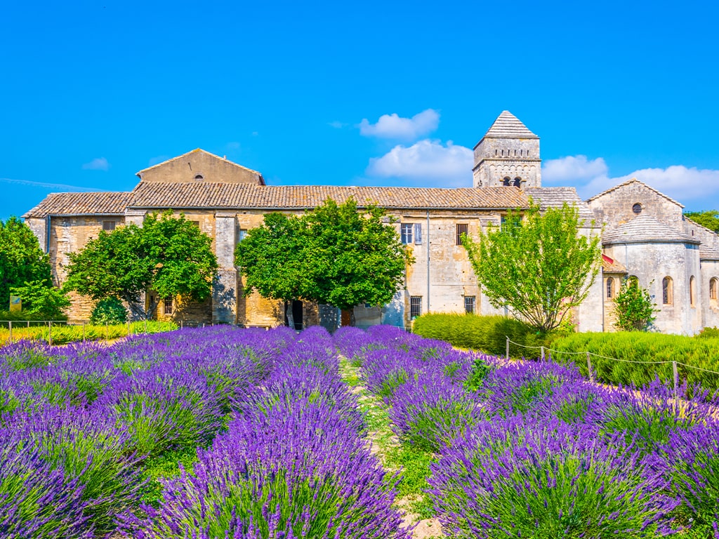 Things to do in the South of France