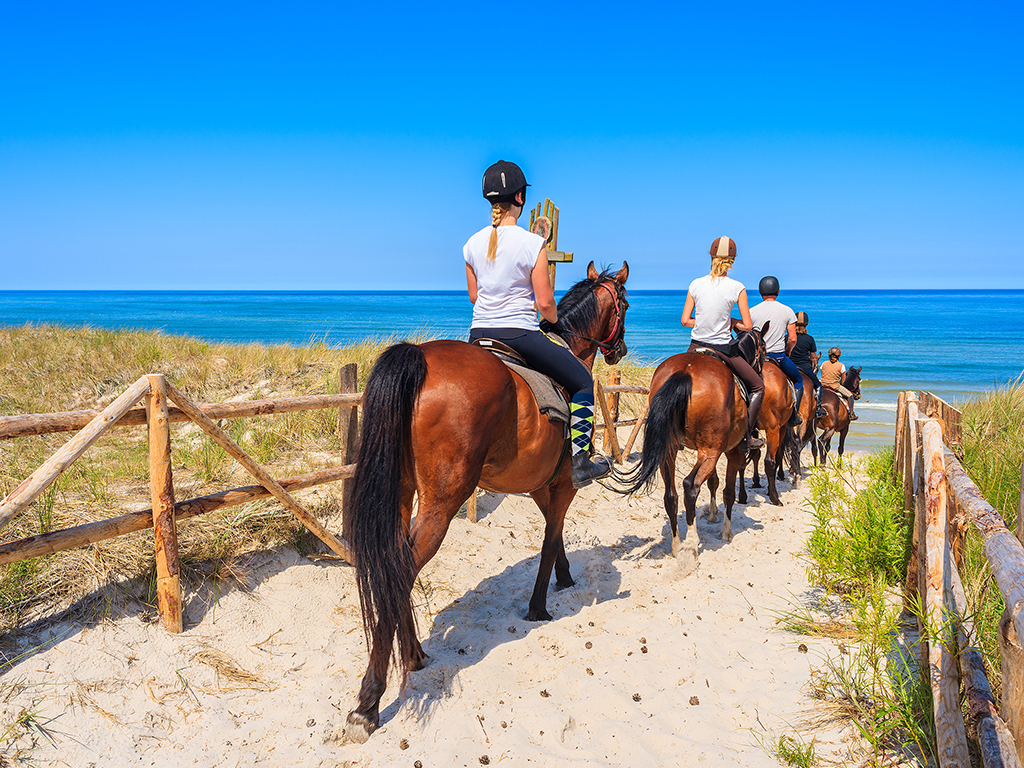 Top activities in Menorca Horse Riding
