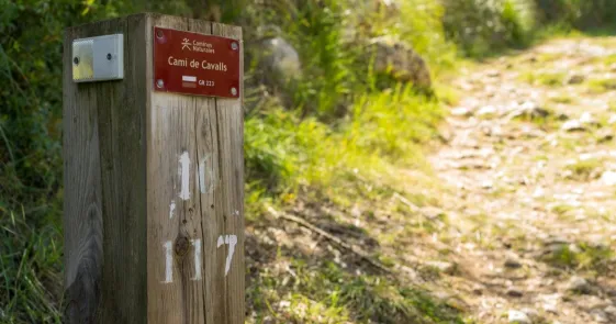 Camí de Cavalls_1.jpg
