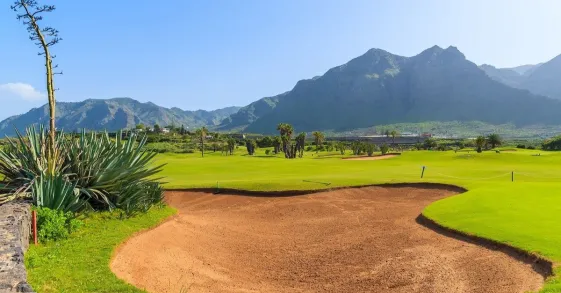 golf-canaries.jpg