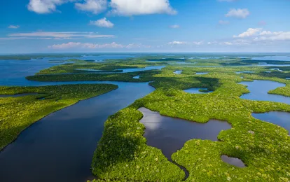 The Everglades