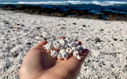 Blissful beach trips