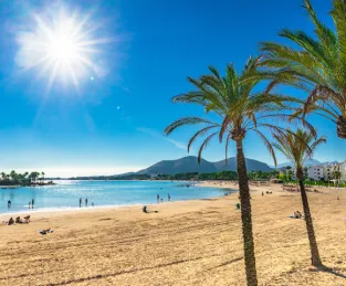 Alcudia