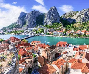 Omis
