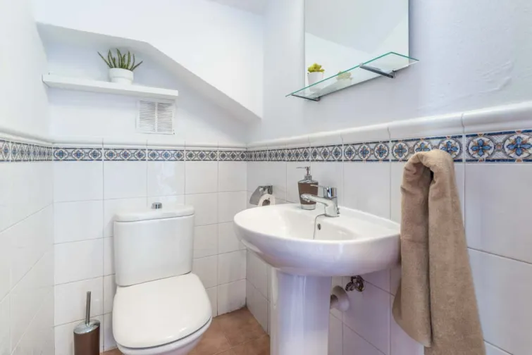 Guest WC-0