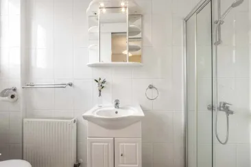 Shower Room-1
