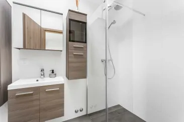Shower Room-1