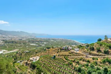 View-3