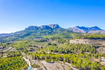 View-1